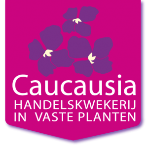 Handelskwekerij Caucausia