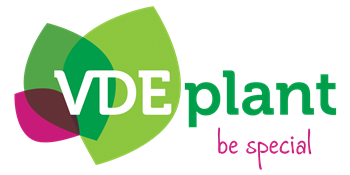 VDE Plant